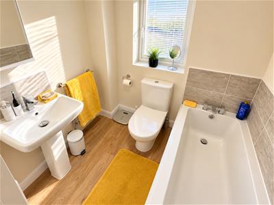 Picture 14